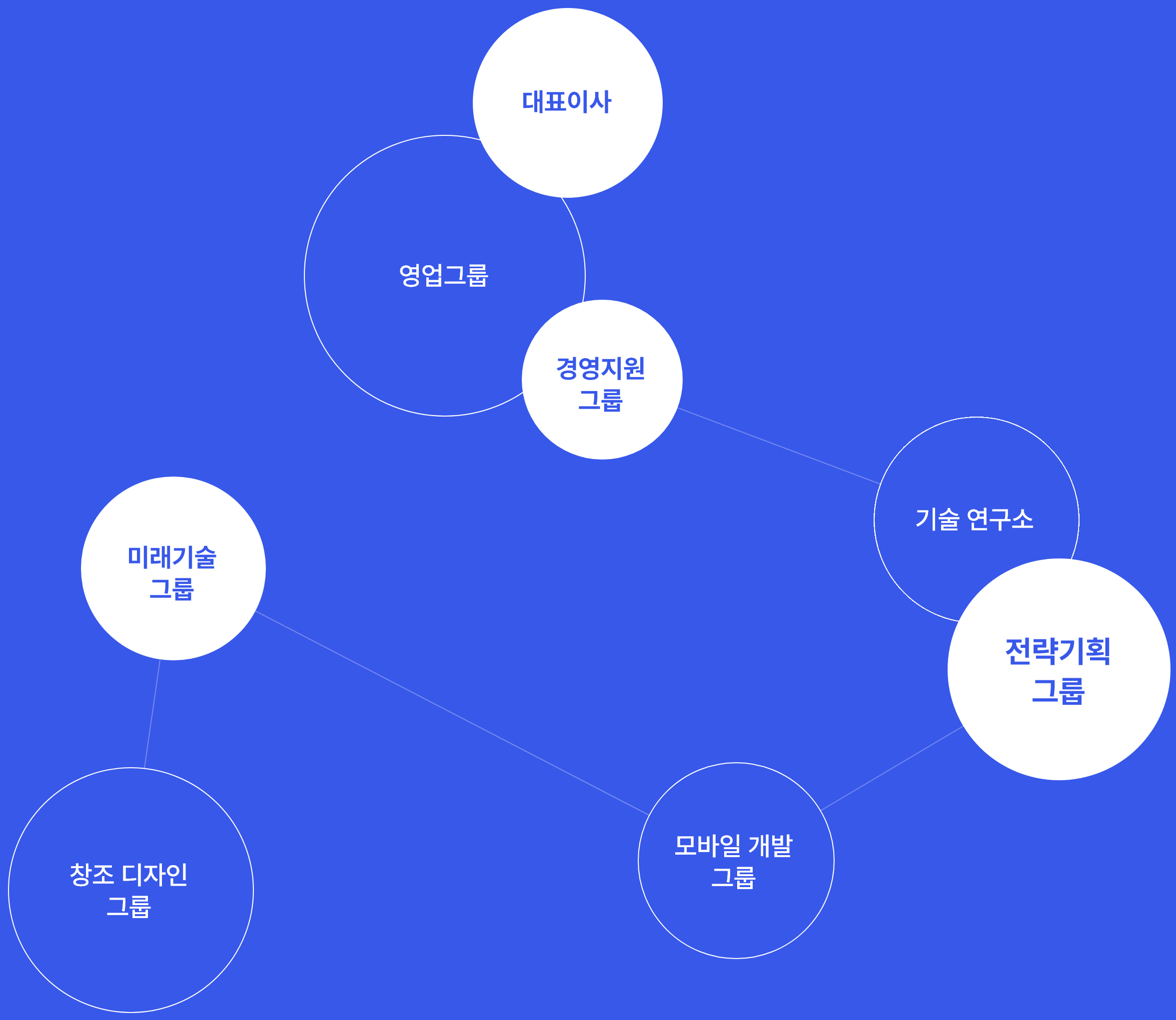 블루웨이브 대표이사 영업 그룹 경영 지원 그룹 기술 연구소 전략 기획 그룹 모바일 개발 그룹 미래 기술 그룹 창조 디자인 그룹